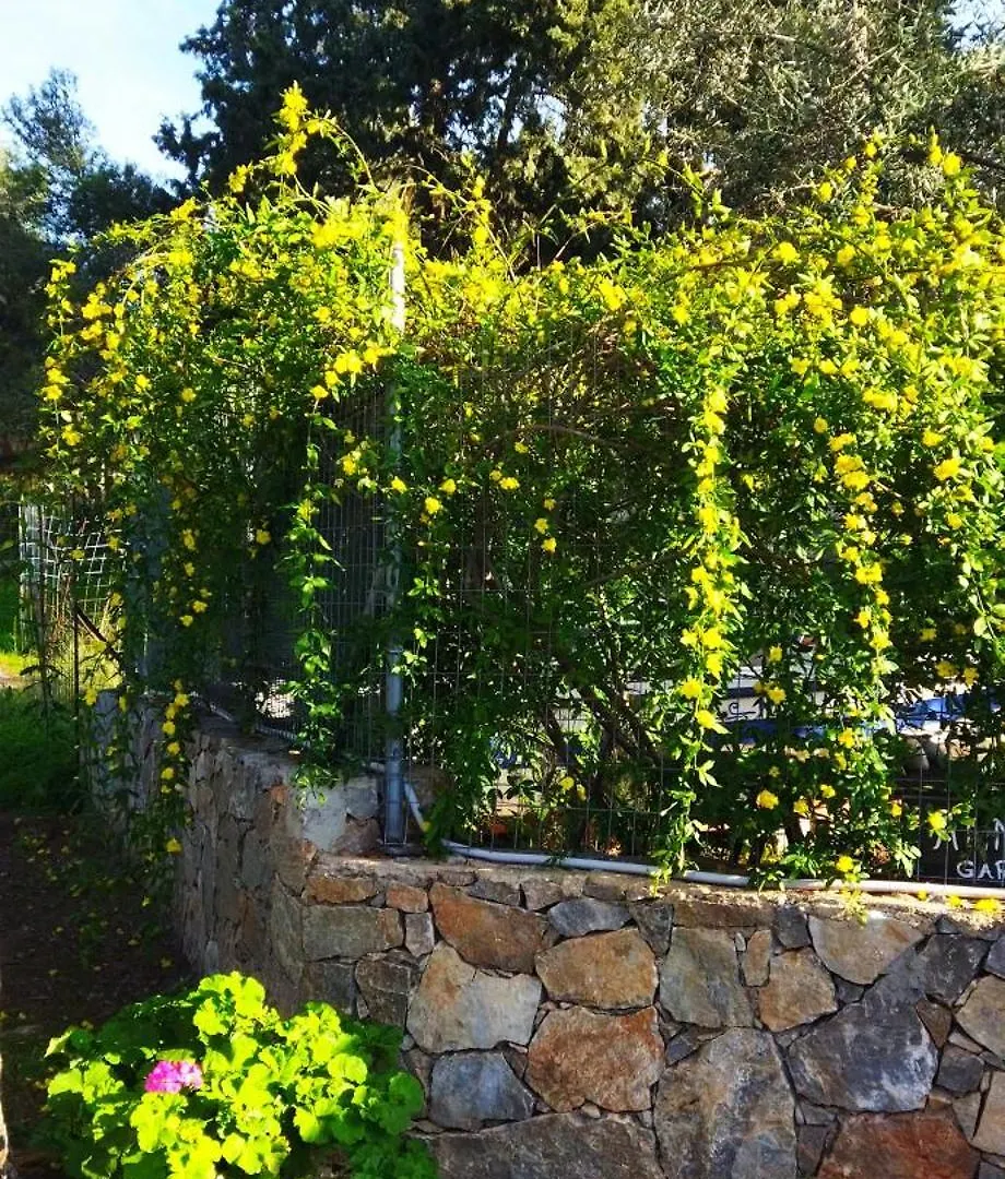 Anna'S Garden House Villa Chania  0*, Chania (Crete) Greece